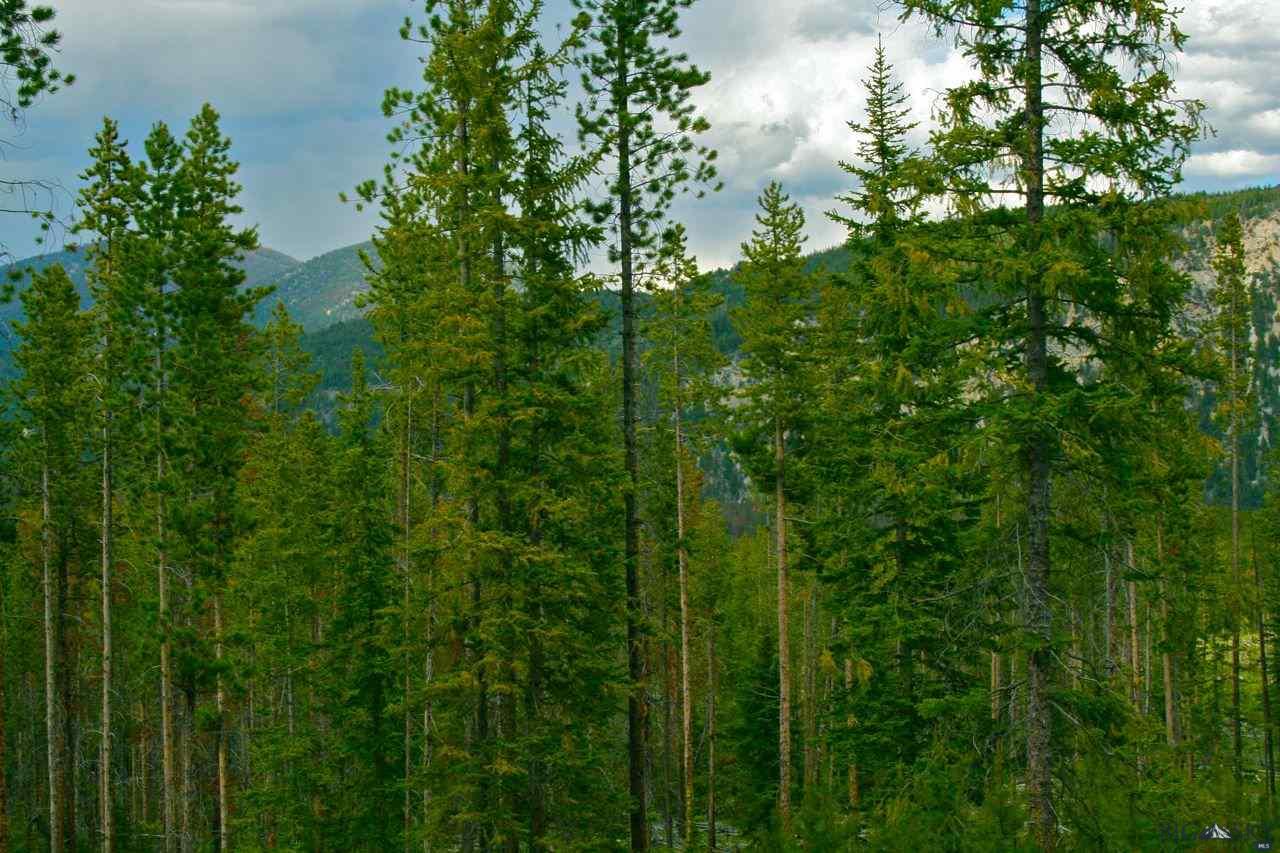 NHN Herring Flats, Anaconda, MT 59711