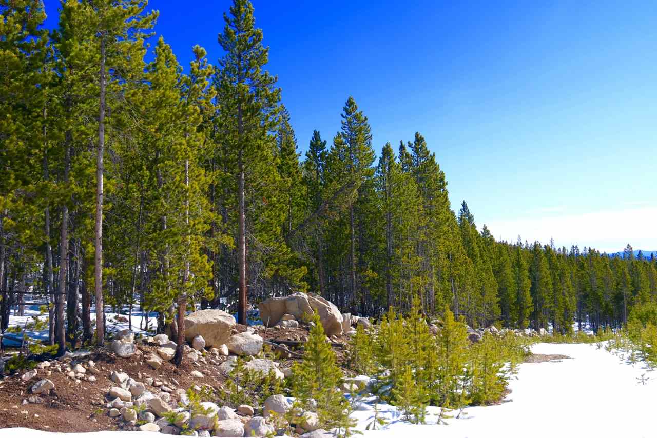 TBD Upper Clear Creek Trail, Anaconda, MT 59711