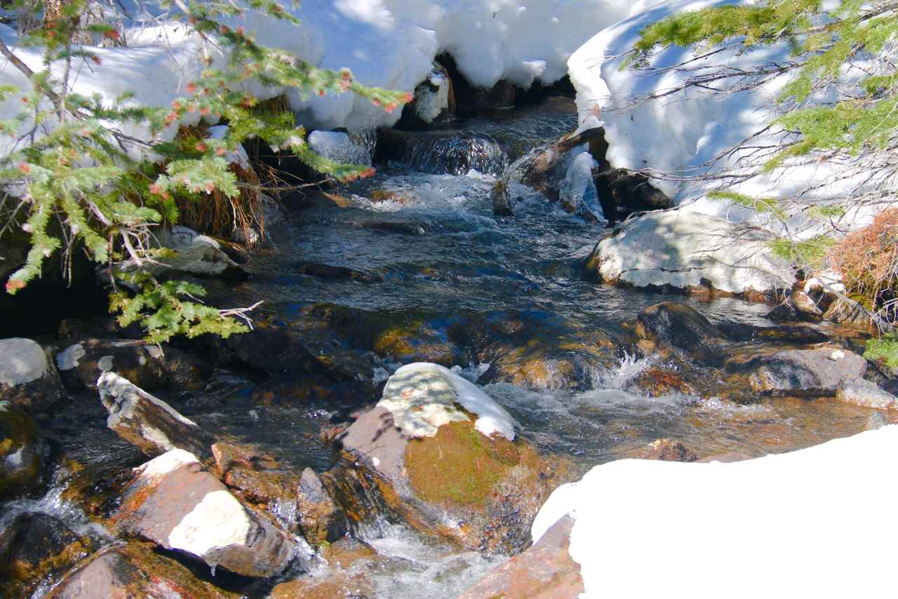 TBD Upper Clear Creek Trail, Anaconda, MT 59711