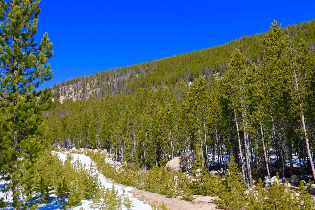 TBD Upper Clear Creek Trail, Anaconda, MT 59711