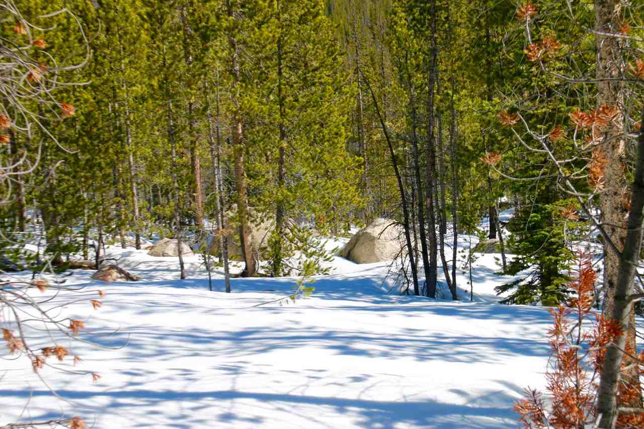 TBD Upper Clear Creek Trail, Anaconda, MT 59711