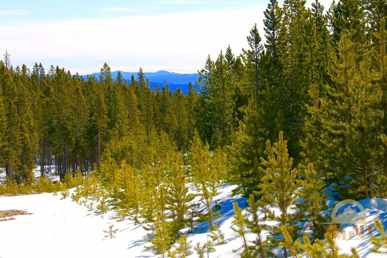 NHN Upper Clear Creek, Anaconda, MT 59711