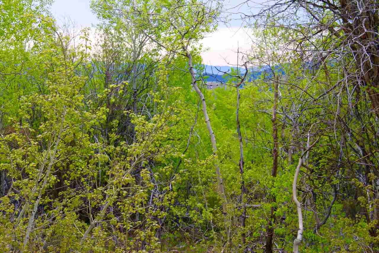 Lot 36 Clear Creek Subdivision, Anaconda, MT 59711