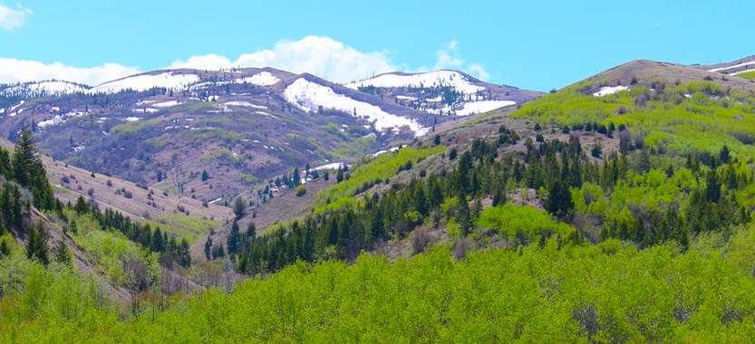 Lot 36 Clear Creek Subdivision, Anaconda, MT 59711