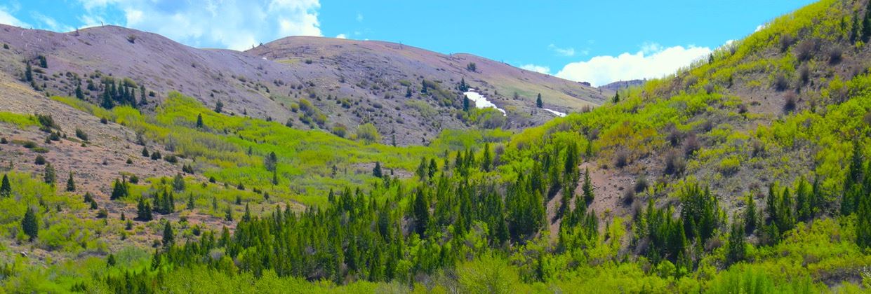 Lot 36 Clear Creek Subdivision, Anaconda, MT 59711
