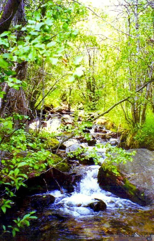Lot 36 Clear Creek Subdivision, Anaconda, MT 59711