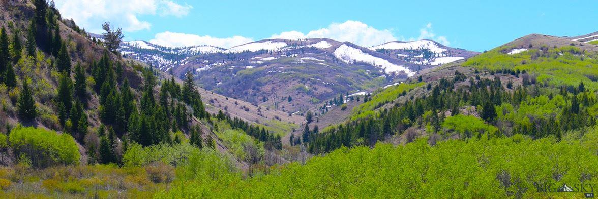 Lot 36 Clear Creek Subdivision, Anaconda, MT 59711