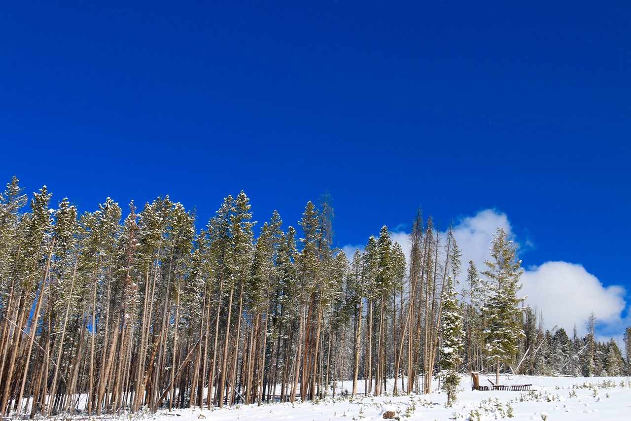 Lot 3 Clear Water Minor Sub, Anaconda, MT 59711