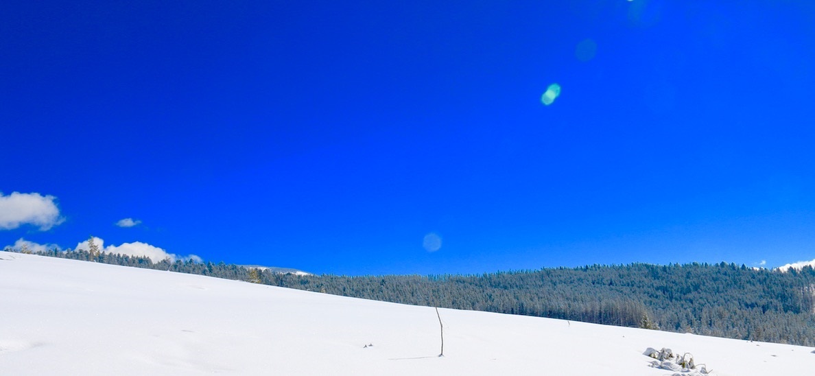 Lot 3 Clear Water Minor Sub, Anaconda, MT 59711
