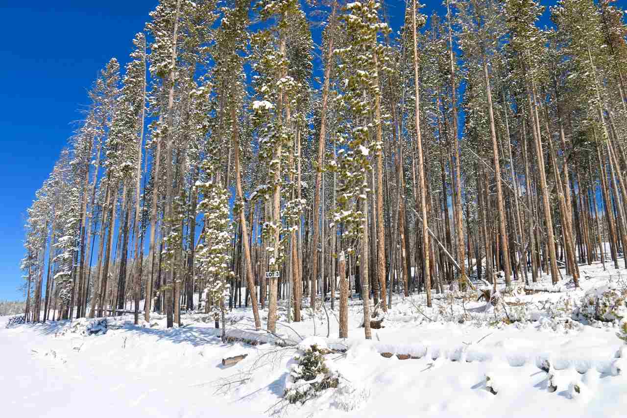 Lot 3 Clear Water Minor Sub, Anaconda, MT 59711