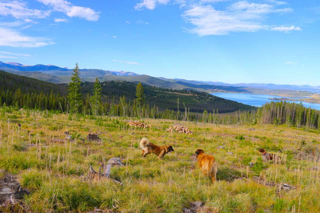 Lot 6 Snowbird Subdivision, Anaconda, MT 59711