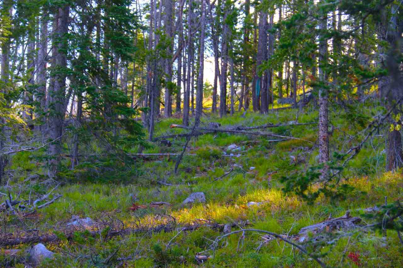 Lot 6 Snowbird Subdivision, Anaconda, MT 59711