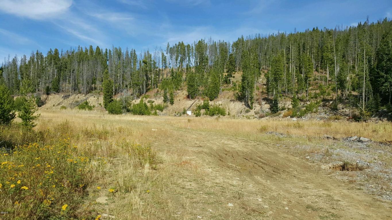 Lot P2 Pyreness Lane, Anaconda, MT 59711