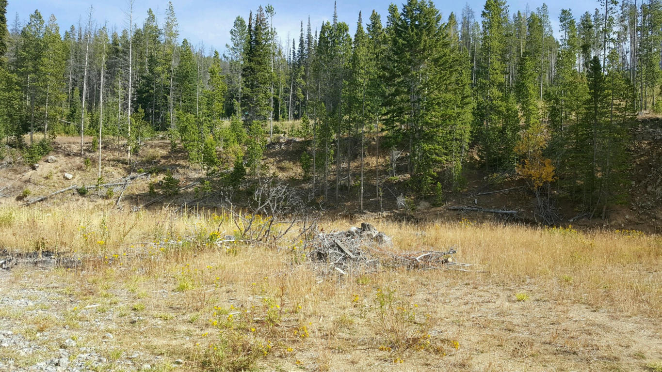 Lot P2 Pyreness Lane, Anaconda, MT 59711
