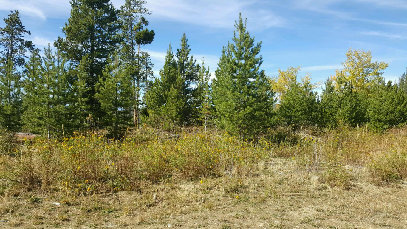 Lot P2 Pyreness Lane, Anaconda, MT 59711