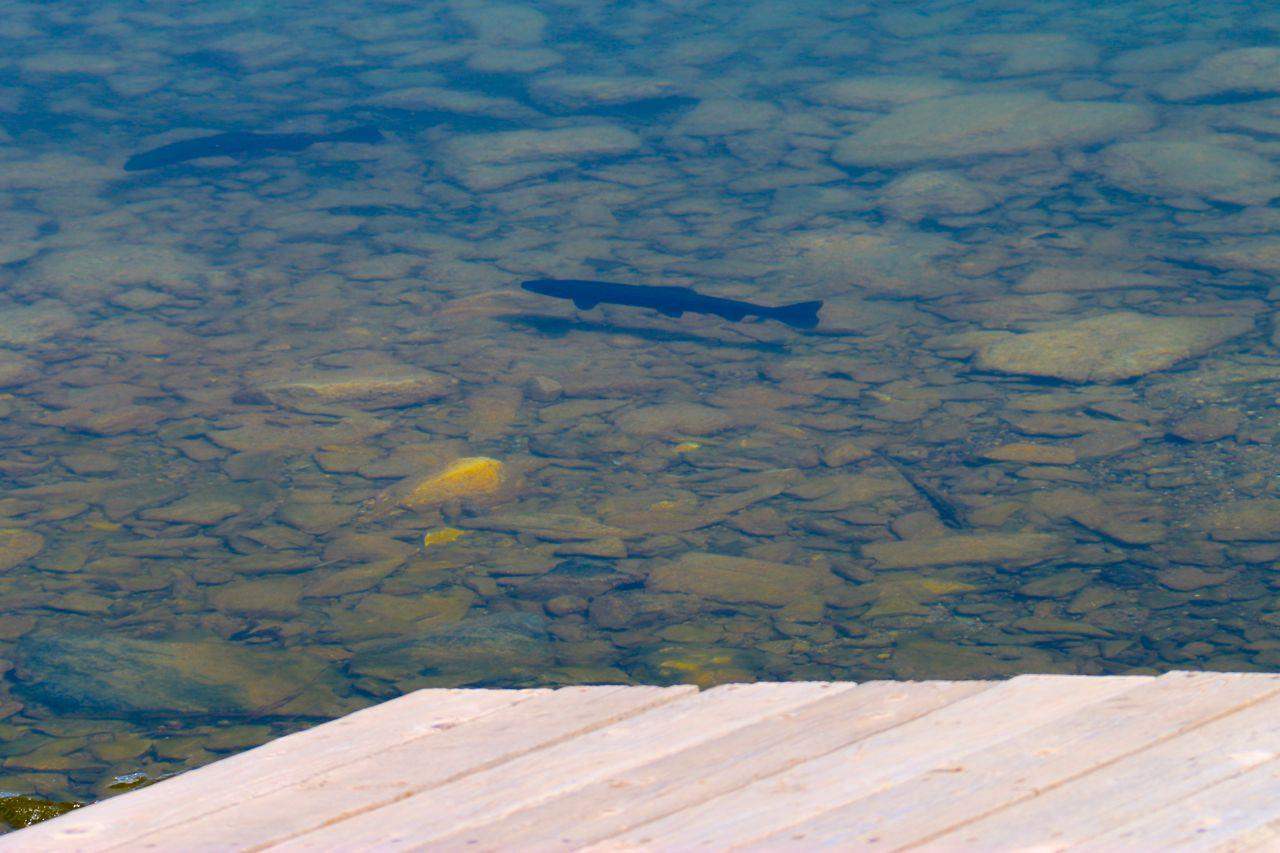 7 Fondo Seiko Ln, Anaconda, MT 59711