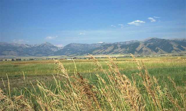 Lot 47 Spain Bridge, Belgrade, MT 59714