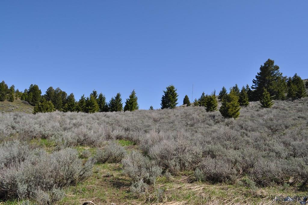 200 MINI HALL RD, Bozeman, MT 59715