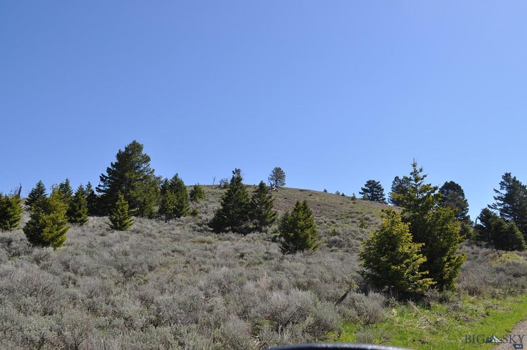200 MINI HALL RD, Bozeman, MT 59715