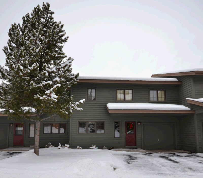 23 Coneflower, Big Sky, MT 59716