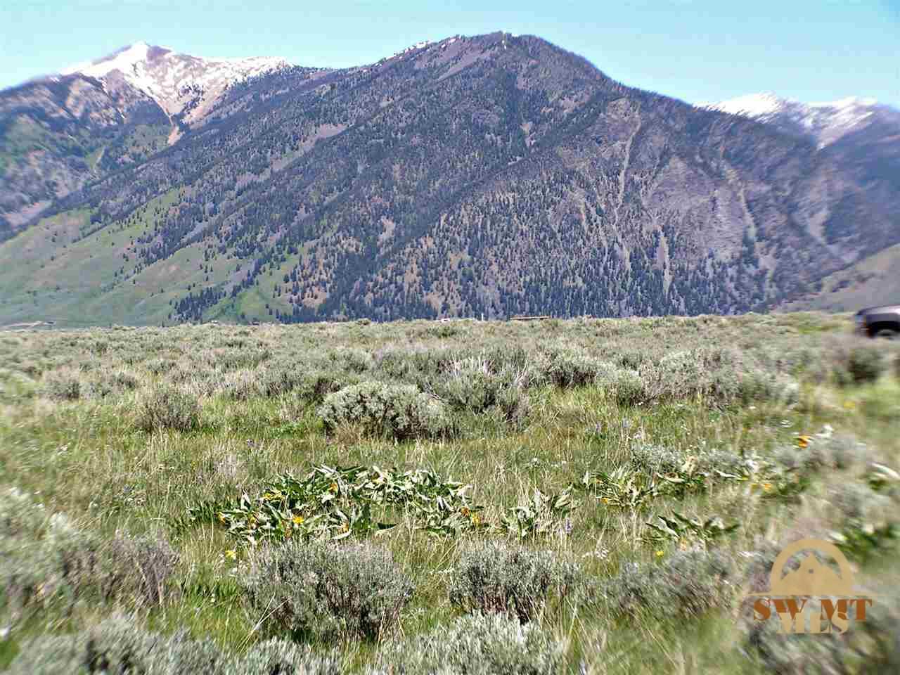 Lot A23 Sportsmans Paradise, Cameron, MT 59720