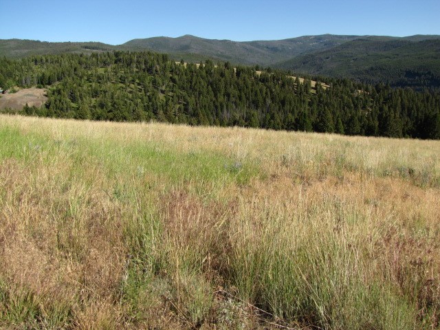 American Lode, Deer Lodge/Garrison, MT 59722