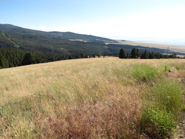 American Lode, Deer Lodge/Garrison, MT 59722