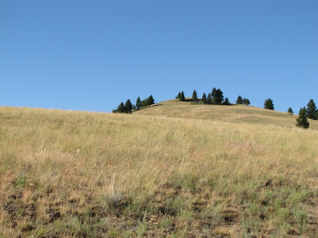 American Lode, Deer Lodge/Garrison, MT 59722