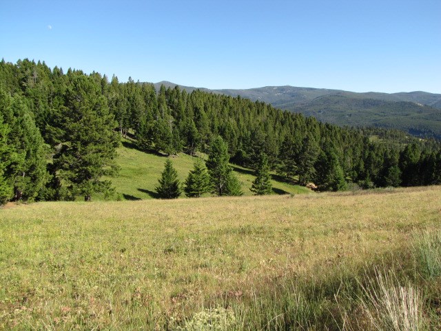 Saturday Lode, Deer Lodge/Garrison, MT 59722