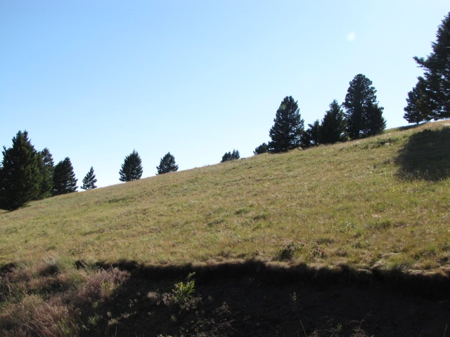 Saturday Lode, Deer Lodge/Garrison, MT 59722