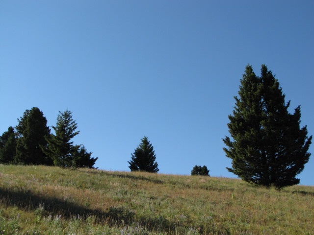 Saturday Lode, Deer Lodge/Garrison, MT 59722