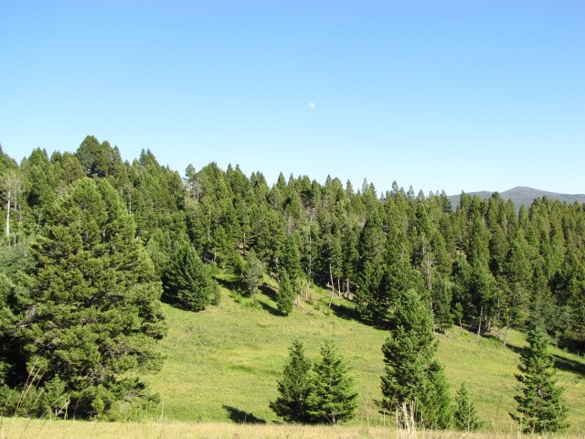 Monday Lode, Deer Lodge/Garrison, MT 59722