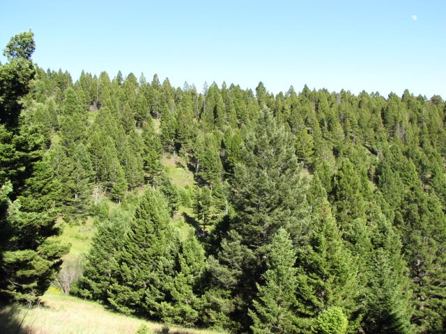 Monday Lode, Deer Lodge/Garrison, MT 59722