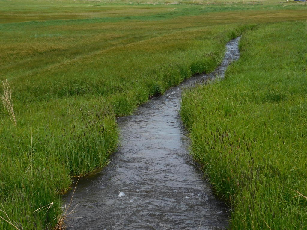 Nhn Lot 4 Gray Wolf Ln, Deer Lodge, MT 59722