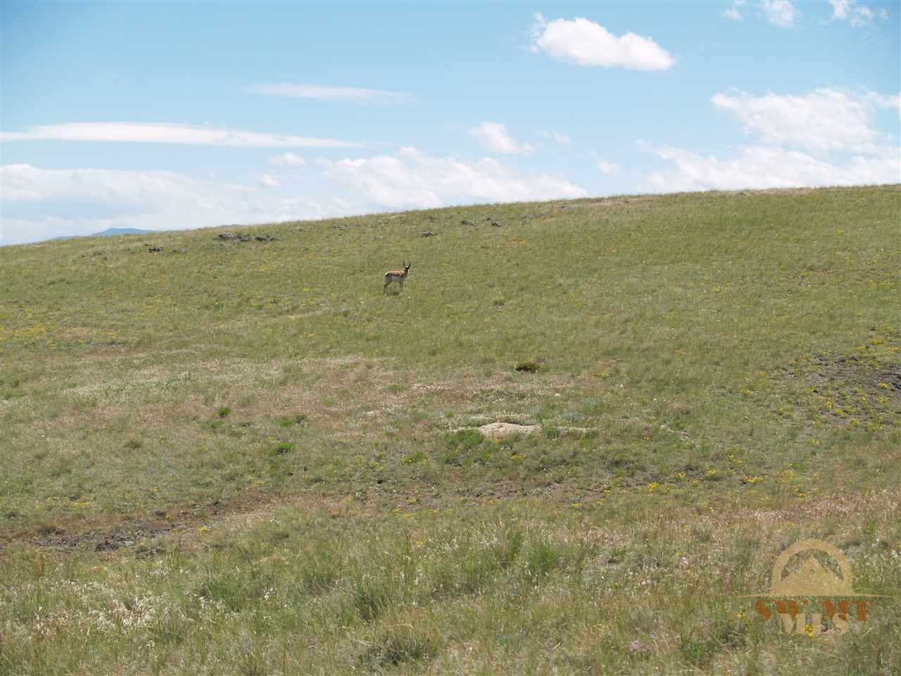 Lot 218 Virginia City Ranches, Ennis, MT 59729