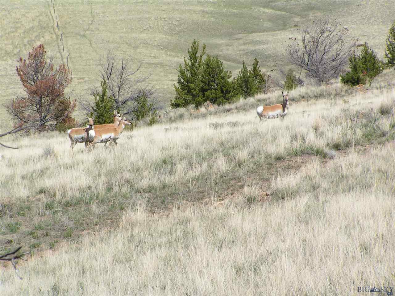 Lot 248 Shining Mountains 1, Ennis, MT 59729