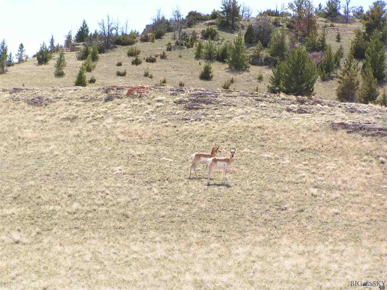 Lot 248 Shining Mountains 1, Ennis, MT 59729