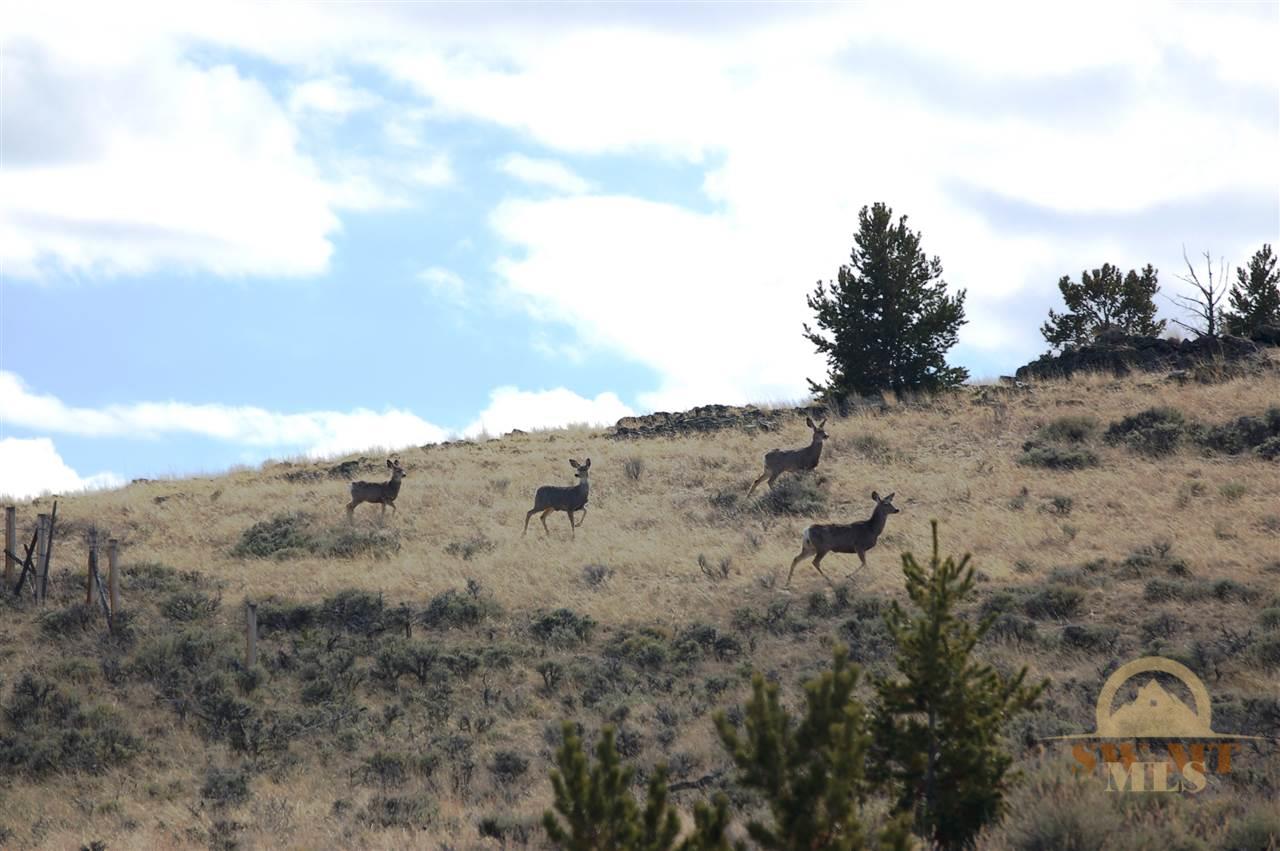 Lot 100 Virginia City Ranches, Ennis, MT 59729