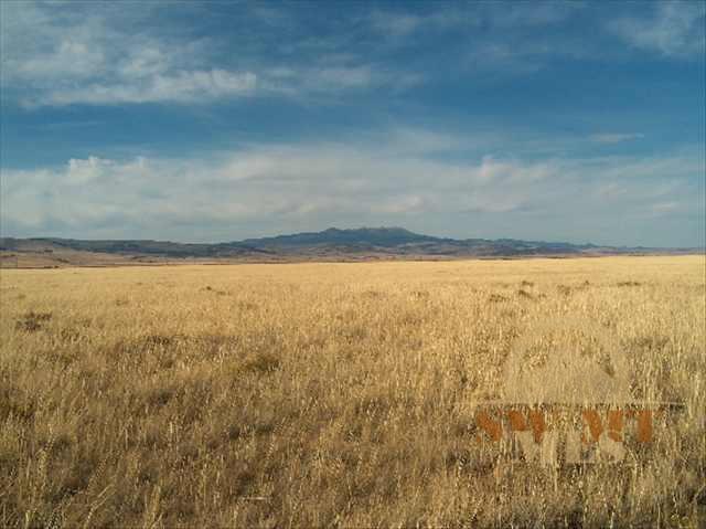 Lot 11 Lonesome Dove Ranch, Ennis, MT 59729
