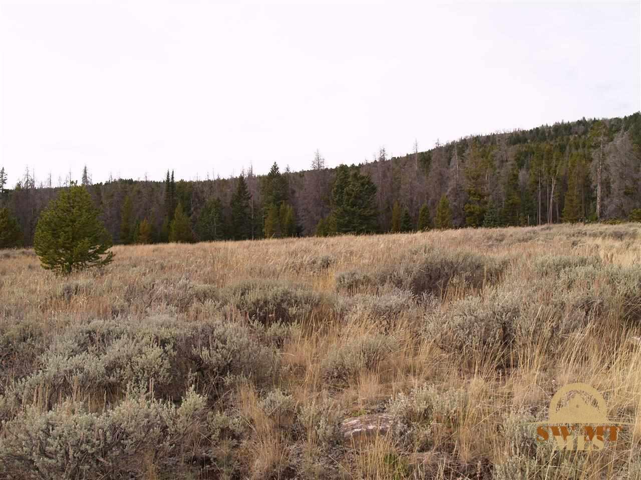 Lot 43 Shining Mountains III, Ennis, MT 59729