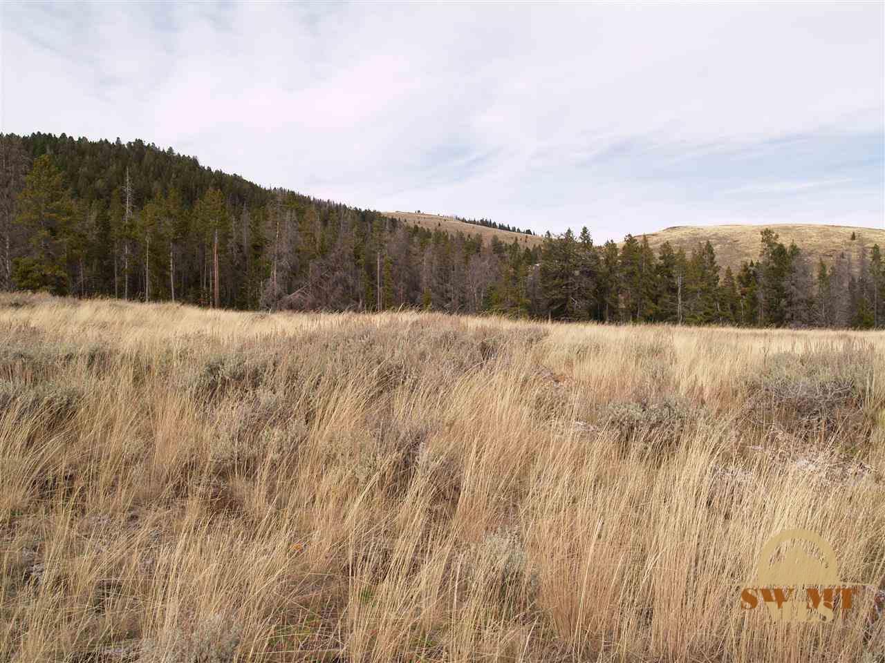Lot 43 Shining Mountains III, Ennis, MT 59729