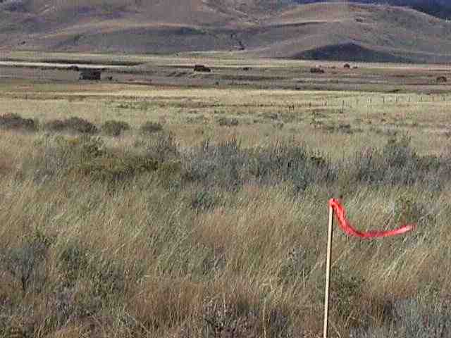 Lot 4 Twin Knobs, Ennis, MT 59729