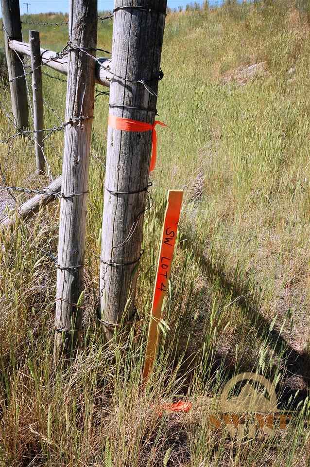 Lot 4 Jordan Lane North, Ennis, MT 59729
