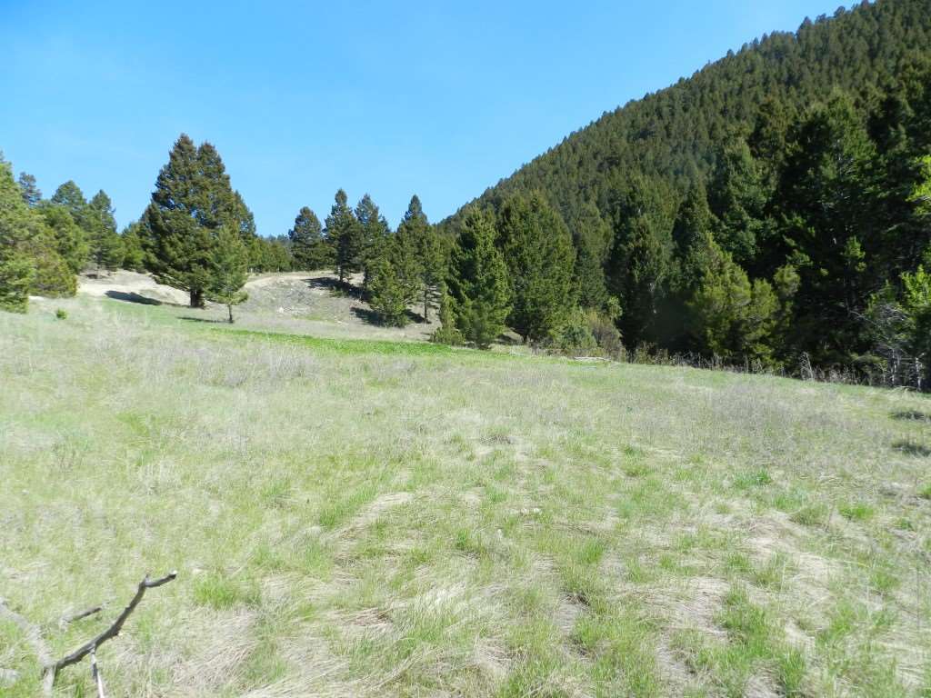 Lot 40 Little Blackfoot River Ranch, Deer Lodge/Garrison, MT 59731