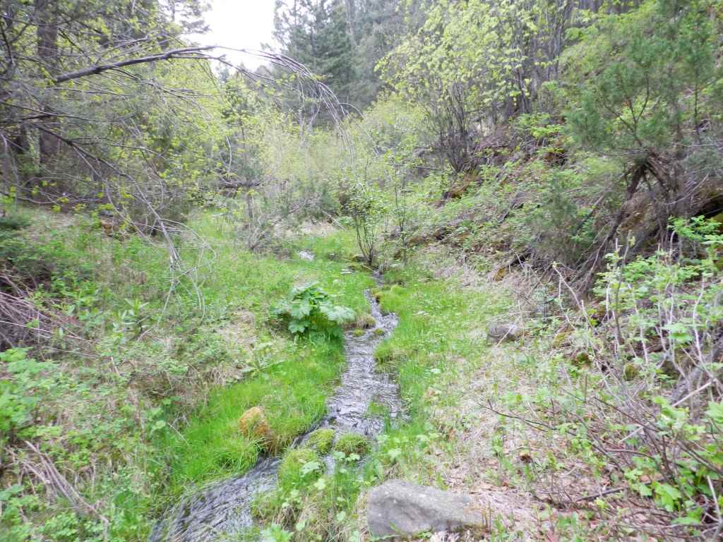 Lot 40 Little Blackfoot River Ranch, Deer Lodge/Garrison, MT 59731