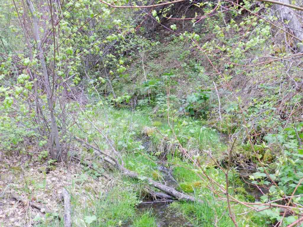 Lot 40 Little Blackfoot River Ranch, Deer Lodge/Garrison, MT 59731