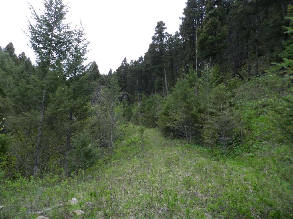 Lot 40 Little Blackfoot River Ranch, Deer Lodge/Garrison, MT 59731