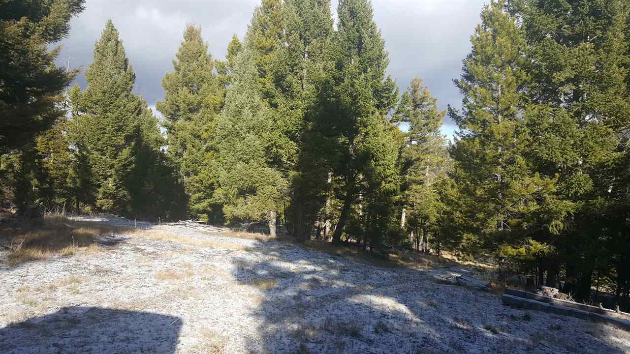 341 Hematite, Helmvile/Ovando, MT 59733