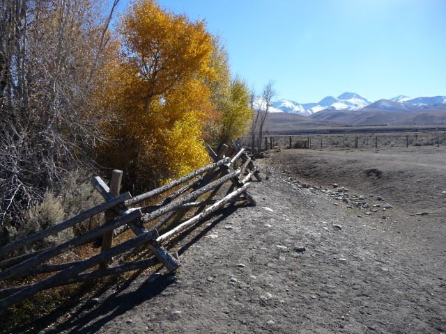 Cleveland, Lima, MT 59739