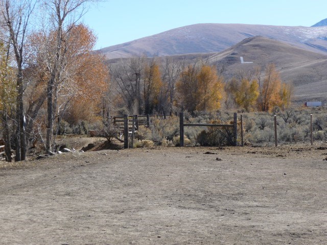 Cleveland, Lima, MT 59739